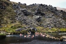 Gorące źródło w Landmannalaugar