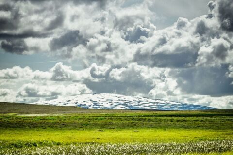 Skjaldbreidur volcano