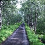 Park Hofdi nad jeziorem Myvatn